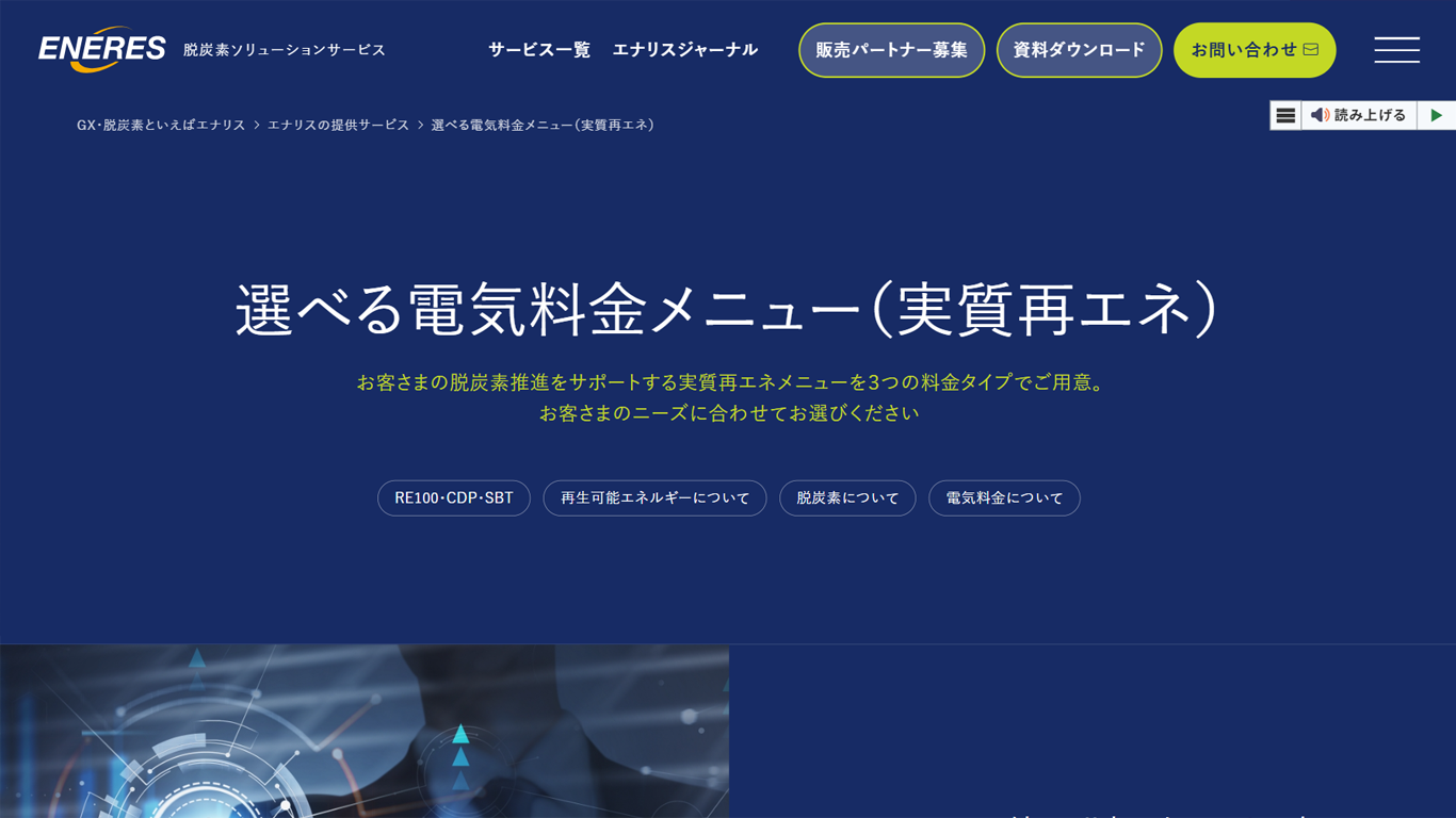 株式会社エナリス